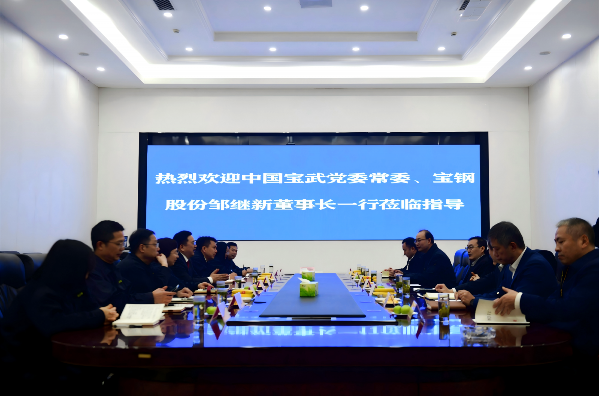 中國寶武集團高層訪問吳變，共謀合作新篇章